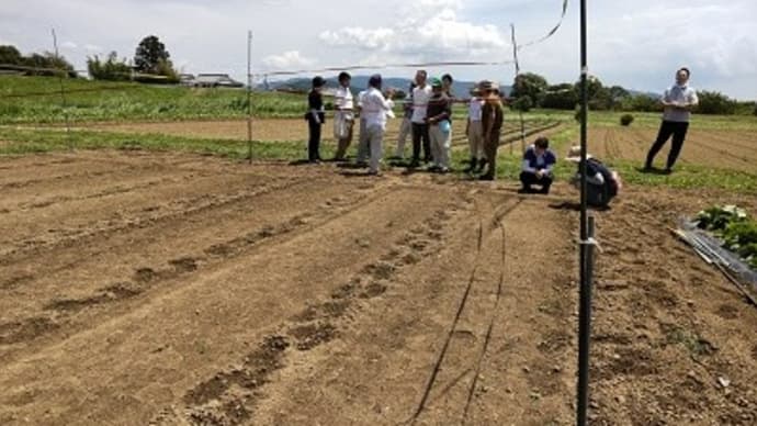 枝もの用クロマツ広域現地検討会が開催されました。