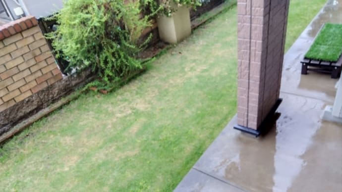 久しぶりに雨が降りました☔ 涼しくなりました✨