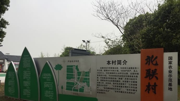 同里北联村の菜の花畑
