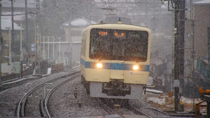 2025年3月19日 小田急 小田原線 8066F 8566F 雪