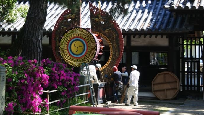 住吉公園・住吉大社の自然