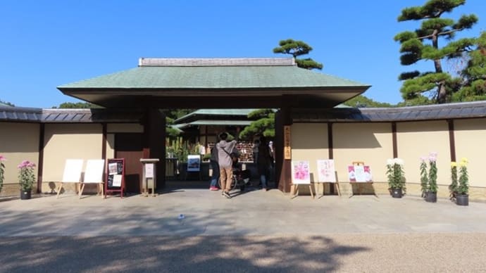 大仙公園・日本庭園の紅葉