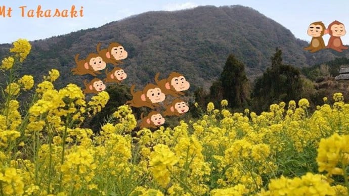 春の炎Ⅰ🔥豊後国お山徘徊・・・高崎山の猿！