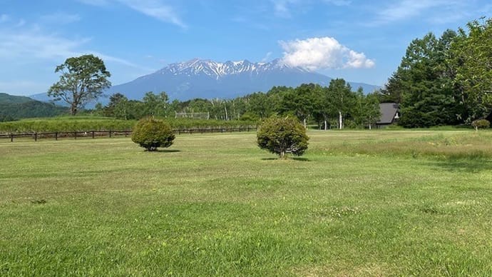 今日も良い天気