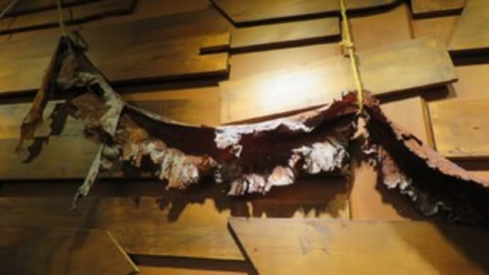 昆布と中高年女性の危うい関係:2回目赤信号Day50