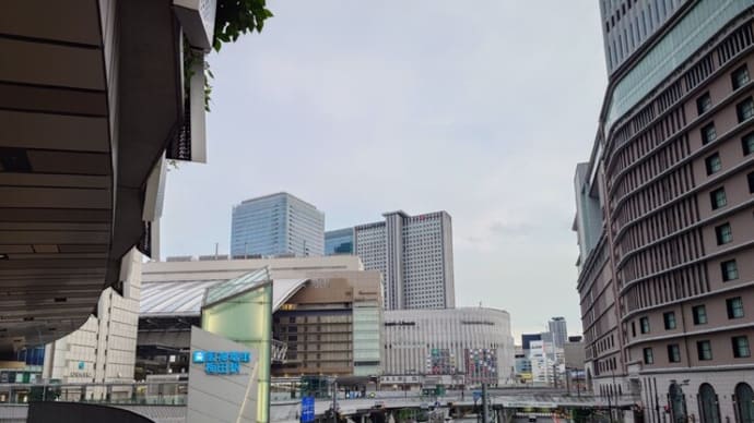 【超爆速】2028年から遺族年金は5年で打切り、新ルール解説!専業主婦は地獄。中高齢寡婦加算も廃止【会社員・共働き/配偶者・65歳金額・受給資格/いくら・いつから/死亡時分割とは/2025改正】
