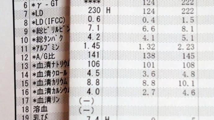 2023年01月04日 血液検査結果