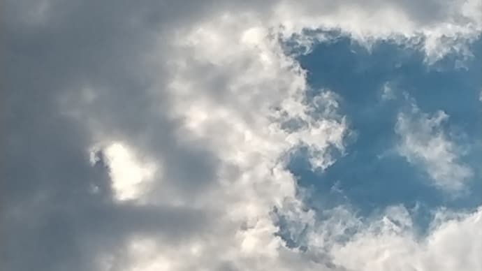 雨降ってきました