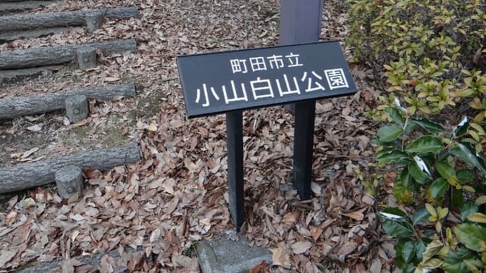 統御感あふれる縄文芸術・・縄文人の辞世の句は(6/10 愛の孤独から)