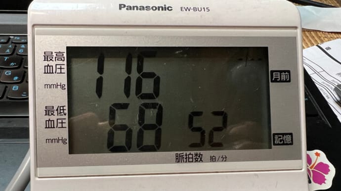 岸田首相の長男、ボーナス返納申し出も「返納できない満額252万660円」昨日の検見川最高の南西 追い撮り カブリナ LOGIC 18L