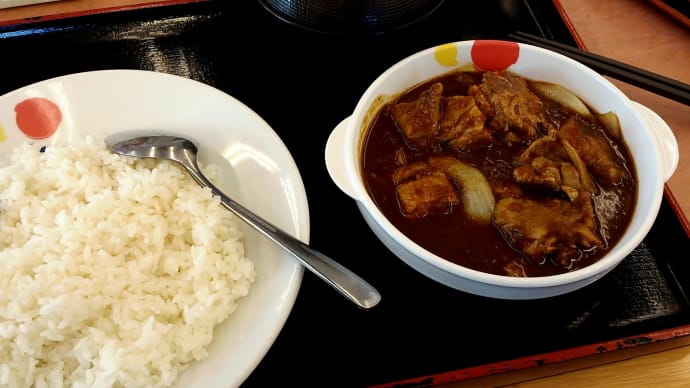 松屋 ごろごろ煮込みチキンカレー