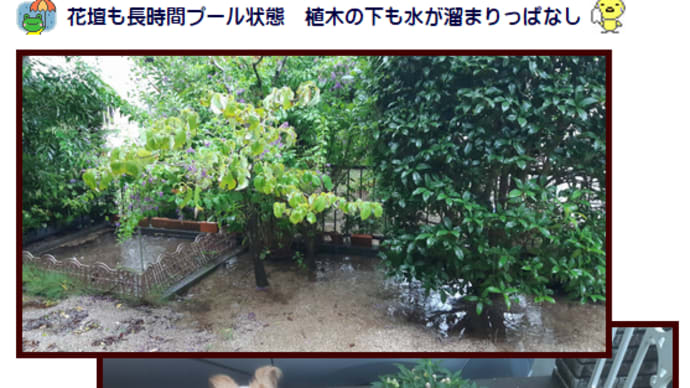 雨 雨 雨