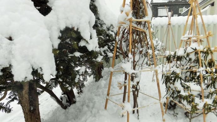 夫が「まちがい探し」