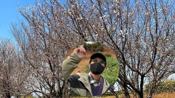 今どき、12月のお花見、粋だねぇ!