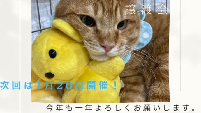 1/6リブライフ譲渡会ありがとうございました!