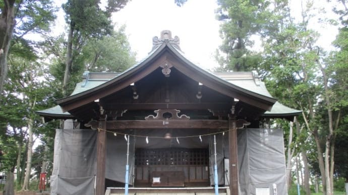 まだ、蝉の鳴き声がけたたましい富士森公園(2020年8月28日)