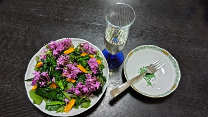 相方居ぬ間に食用花