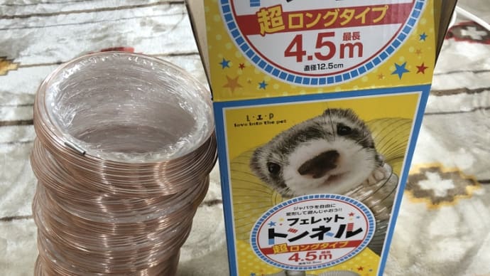 ロングトンネル♪