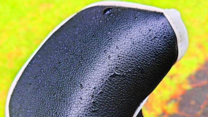 雨ゴルフ 小さな不満 無視しない クリアできれば レベルがアップ