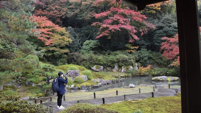 もみじ狩り 京都編2日目 京都市東山区粟田口 天台宗:青蓮院門跡【2】-2 小御所から相阿弥の庭と龍心池