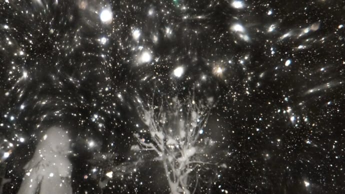 吹雪の夜の幻想世界