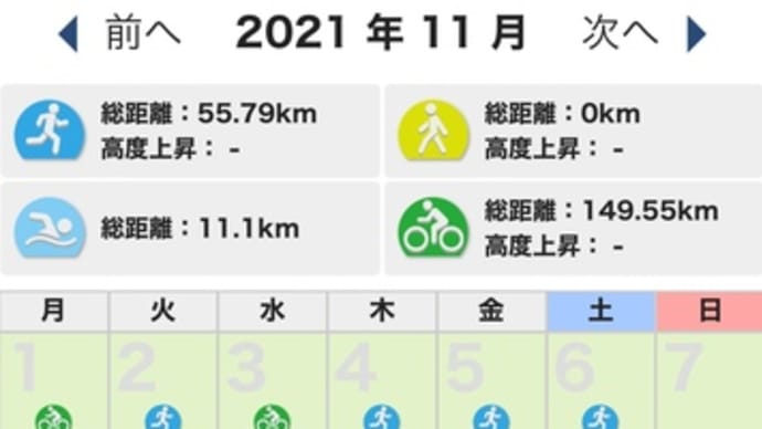 月間記録 先月のまとめ 2021年11月