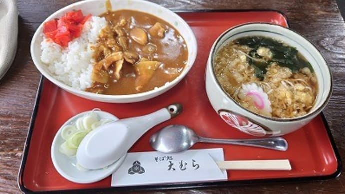 在宅勤務昼はそば屋で結局3日連続のカレーを食い晩はじゃこ天