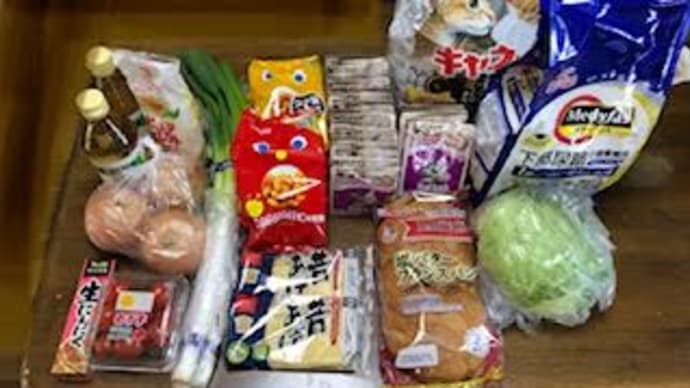 夜ごはんは塩ちゃんこ鍋