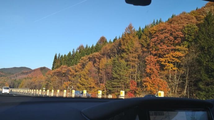 東北の紅葉の風景