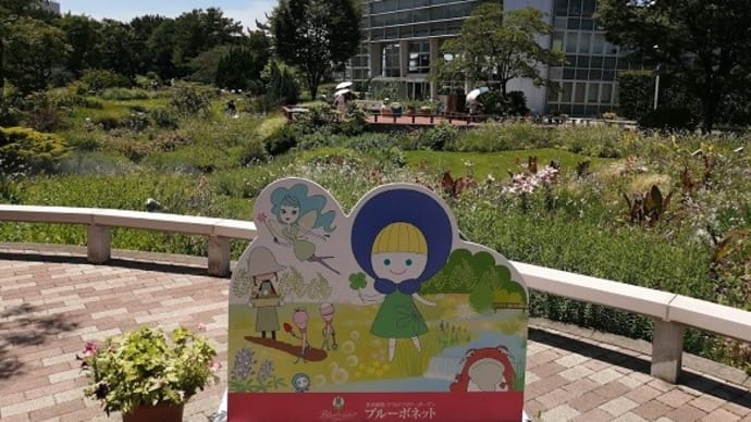 名古屋港ワイルドフラワーガーデン ブルーボネット真夏編