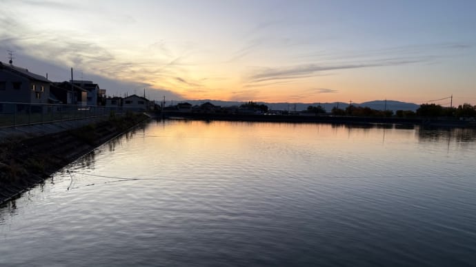 夕方散歩