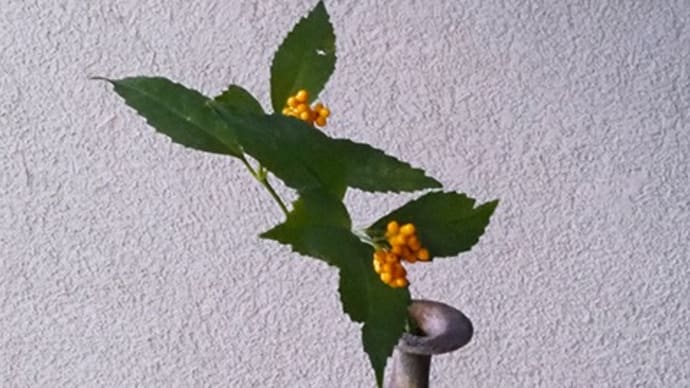 横山直樹さんの花入れ