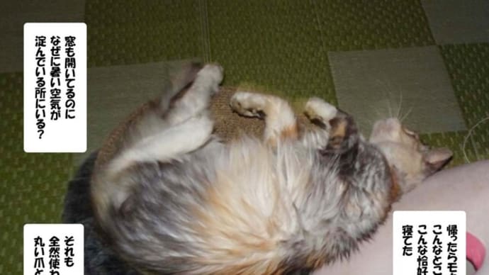 モ カ