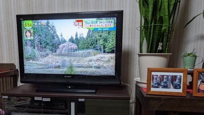 ビックリ! ニュースに先生が・・・