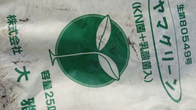 里脇ぶどうオーナー2022、⑮