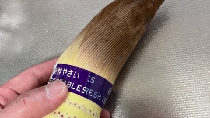 春の味覚+α