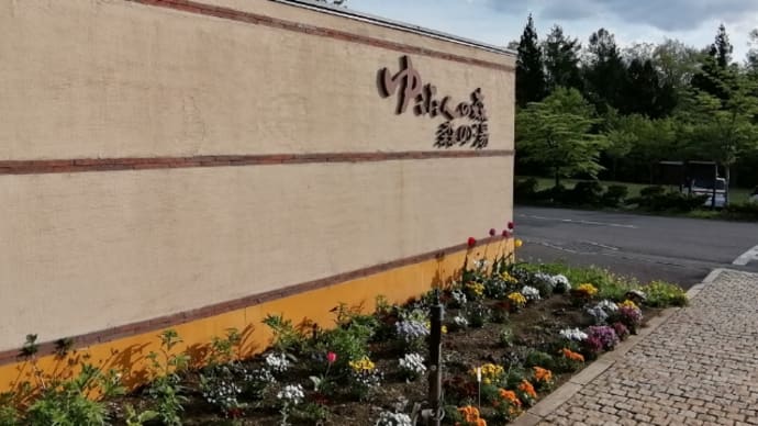 母とゆこたんの森
