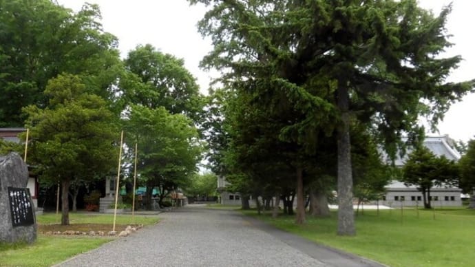 旭川　北海道護国神社境内　２０２３年６月