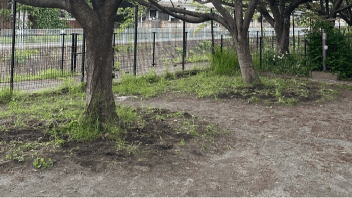 柳原公園サークルベンチ撤去その2