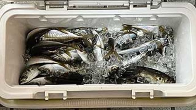 F様のアジ釣行(深川、吉野家)。