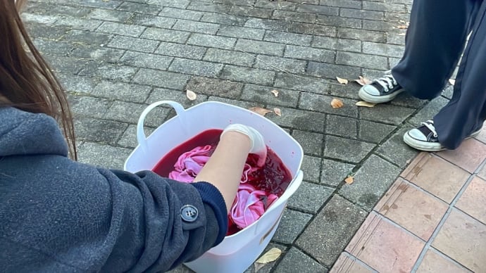 専門ゼミ