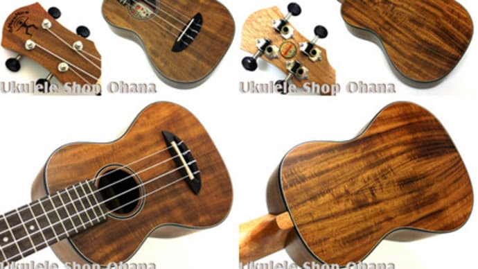 aNueNue♪大人気のミニコンサート♪ハワイアンコア合板♪入荷です♪