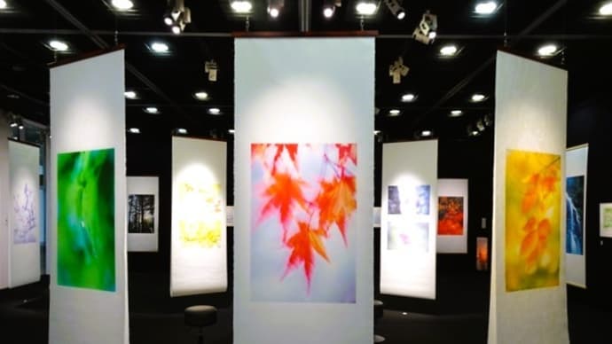 「風の香り 三輪薫 写真展」/キャノンギャラリー品川