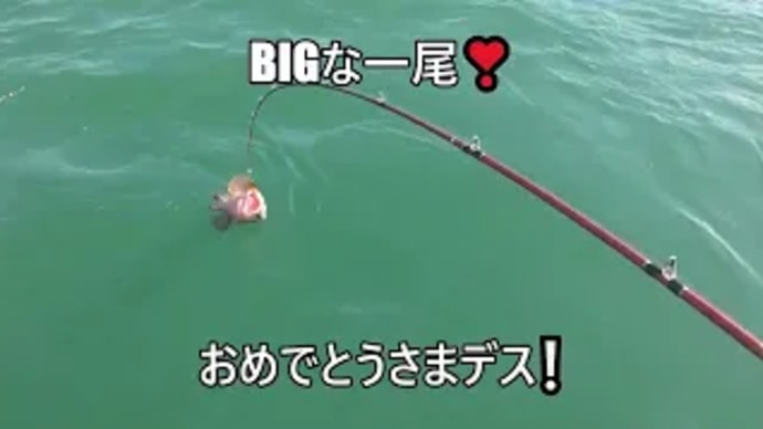巻き続ける者に福来る瞬間❕感動の一匹🎣