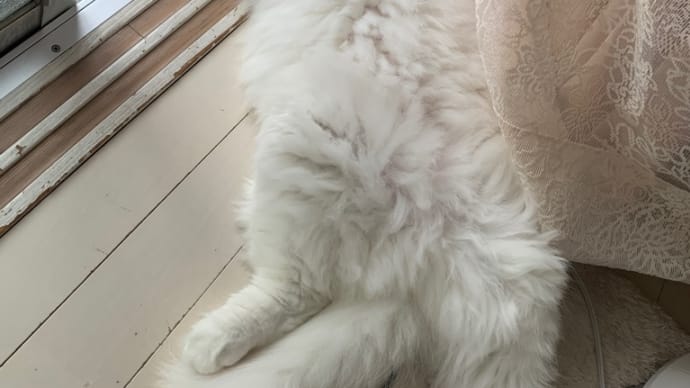 ばんざい寝
