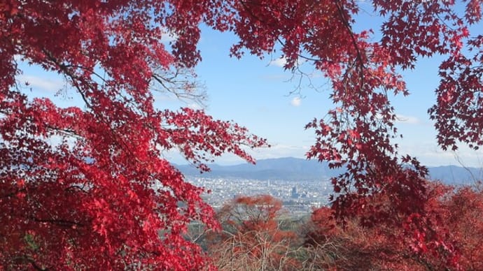 善峯寺（よしみねでら）絶景紅葉～京都　西山