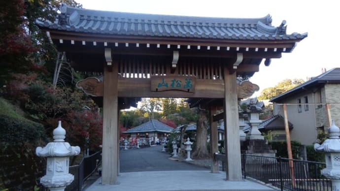 遠州三山ご利益めぐり 紅葉 秋葉総本殿 萬松山、可睡斎