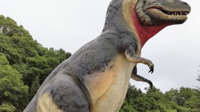 【6歳1ヶ月と5日目】数十年振りにジャンプ購入
