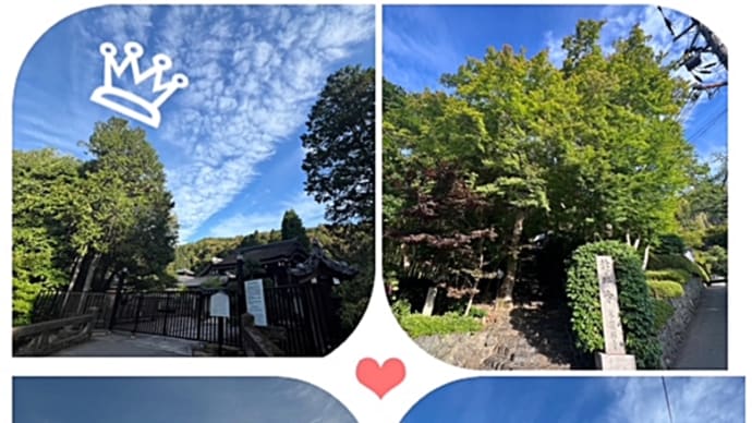 朝の散歩風景から
