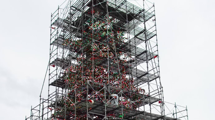 準備順調・クリスマスジャンボツリー2024